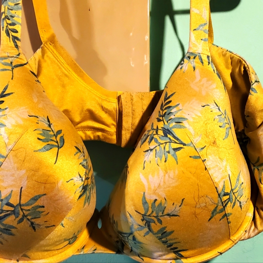 Cacquie 46dd bra